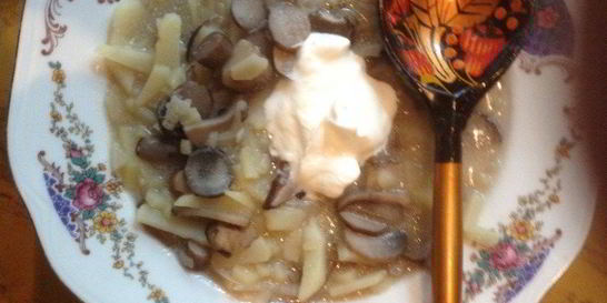 Солянка грибная