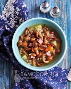 Суп грибной из замороженных опят