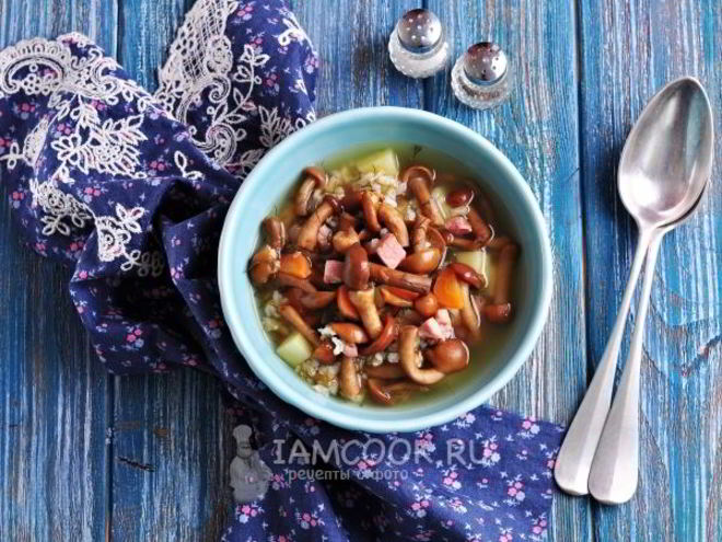 Рецепт супа грибного из замороженных опят