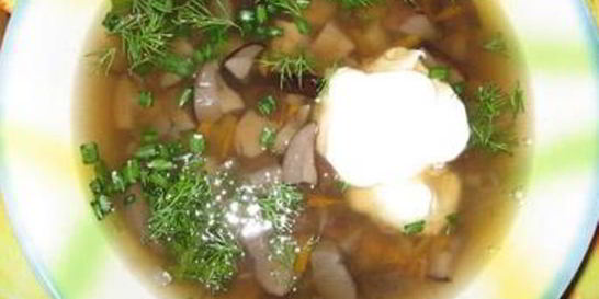 Суп из грибов подберезовиков