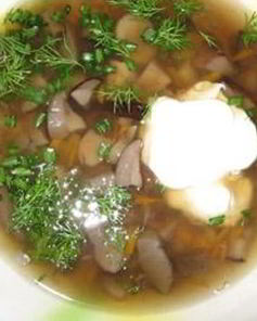 Суп из грибов подберезовиков