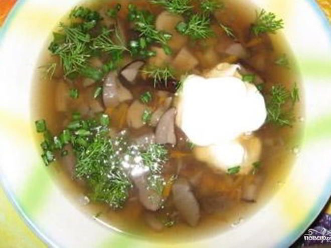 Рецепт супа из грибов подберезовиков