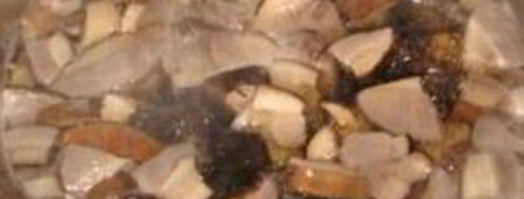 суп из грибов подберезовиков. Шаг 3