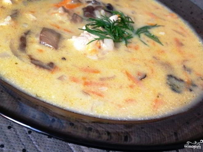 Рецепт супа из индейки с грибами