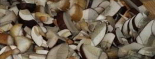 суп-пюре из лесных грибов. Шаг 2