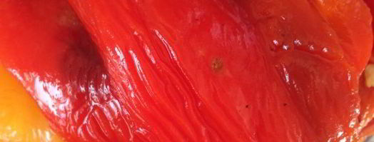 суп-пюре из запеченных перцев с апельсиновым соком. Шаг 2