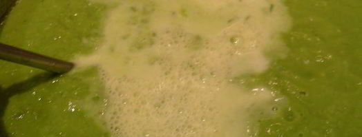 суп-пюре из зеленого горошка с чесноком и тмином. Шаг 5