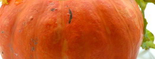 тыквенный суп-пюре с карамелизованной свеклой и золотистым луком. Шаг 7