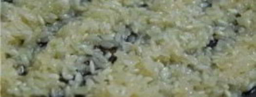 томатный суп с мидиями. Шаг 9