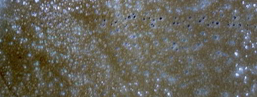 дрожжевые блины по госту. Шаг 3