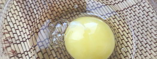 яичный блинчик, фаршированный грибами. Шаг 4