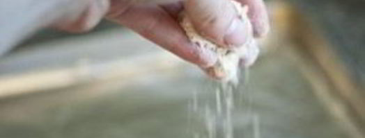 английская домашняя булочка. Шаг 2