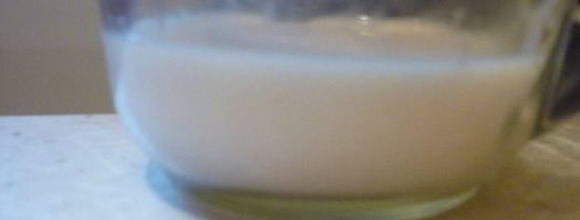 булочки и рогалики зебра с шоколадной прослойкой. Шаг 4