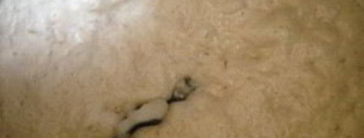 булочки розочки с творогом. Шаг 2