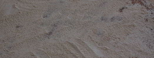 булочки с корицей в сметанной заливке. Шаг 11