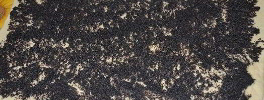 булочки с маком. Шаг 3