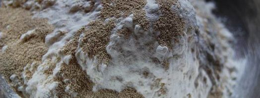 китайские пампушки. Шаг 2