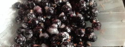 ватрушки с сюрпризом. Шаг 3