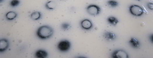 чизкейк с черникой без выпечки. Шаг 5