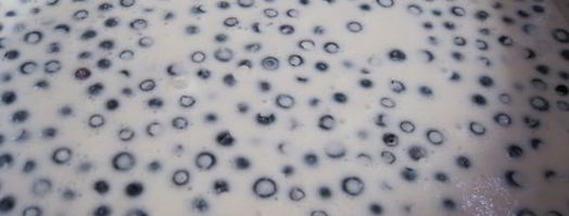 чизкейк с черникой без выпечки. Шаг 6