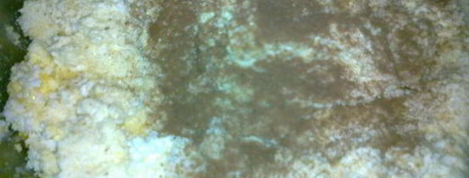 малиновый чизкейк. Шаг 2