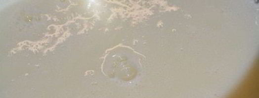 сливочный чизкейк с экзотической ноткой. Шаг 6