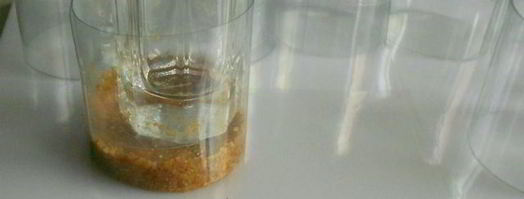 тройные ягодные чизкейки. Шаг 6