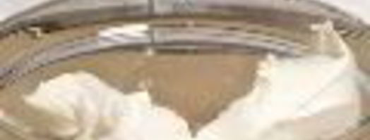 ванильный чизкейк с грецкими орехами. Шаг 4