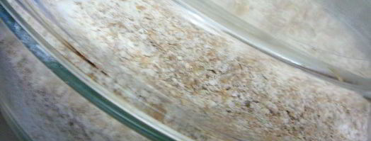 хлеб без замеса. Шаг 12