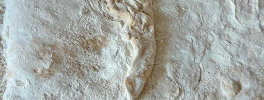 хлеб без замеса. Шаг 5