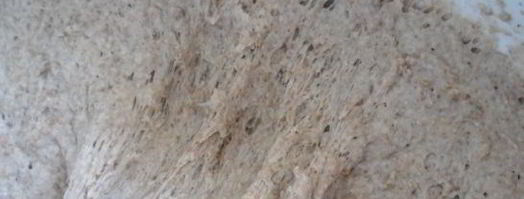 хлеб с отрубями. Шаг 5