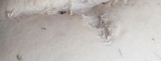 хлеб с розмарином и медом. Шаг 6