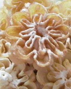 Хворост Розочки