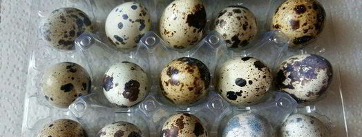 конвертики с перепелиным яйцом и зеленью. Шаг 7