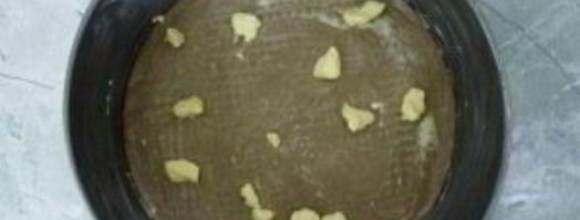 банница по-болгарски из лаваша. Шаг 4