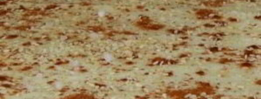 лаваш-крекер. Шаг 4