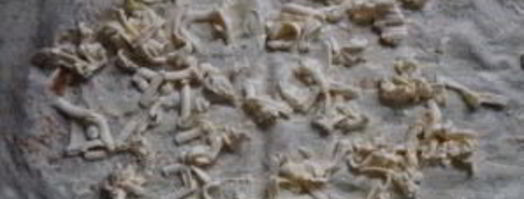 лаваш с беконом. Шаг 2