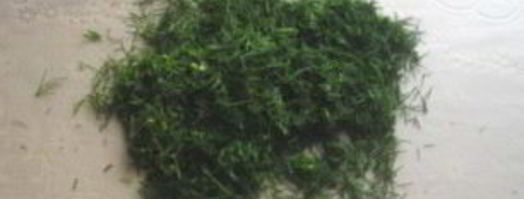 лаваш с курицей. Шаг 2