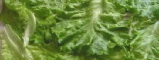 лаваш с курицей. Шаг 6