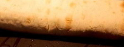 лаваш с сулугуни и кинзой. Шаг 9