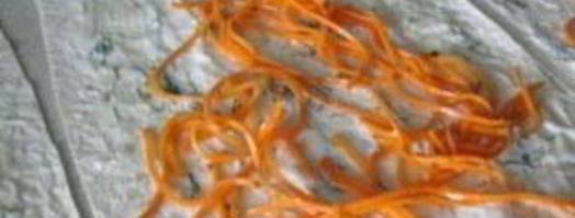 свинина в лаваше. Шаг 2