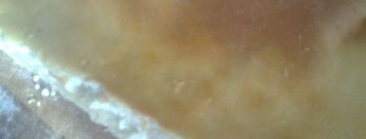 фокачча с творогом. Шаг 8