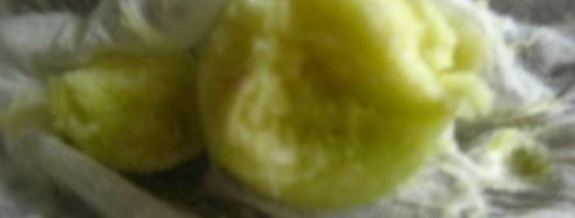 кабачково-луковая фокачча и не только. Шаг 2