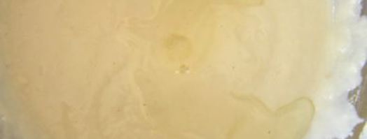 лепешка с зеленым луком. Шаг 2