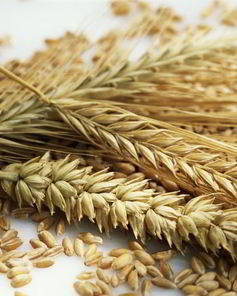 Ржаные лепешки