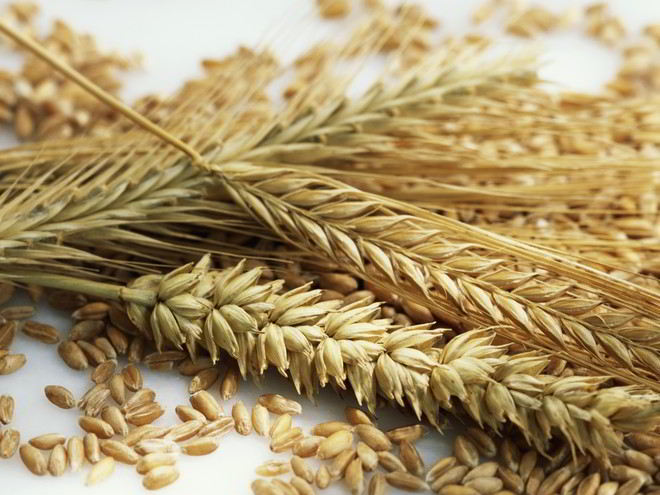 Рецепт ржаных лепешек