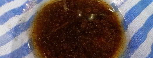 цельнозерновая лепешка с тунцом, креветками и перечным соусом. Шаг 4