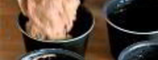 маффины из цукини с шоколадом. Шаг 2