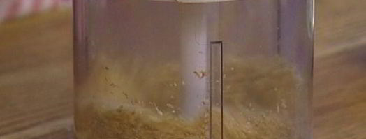 маффины с шоколадом и грецкими орехами. Шаг 4