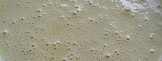 медовые маффины-пряники. Шаг 4